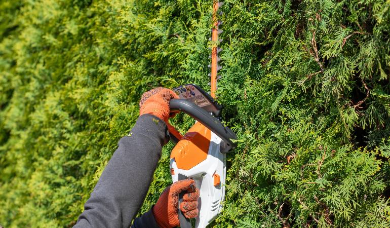 Hedge Removal Blackhall Colliery | Premium Hedge Trimming Services